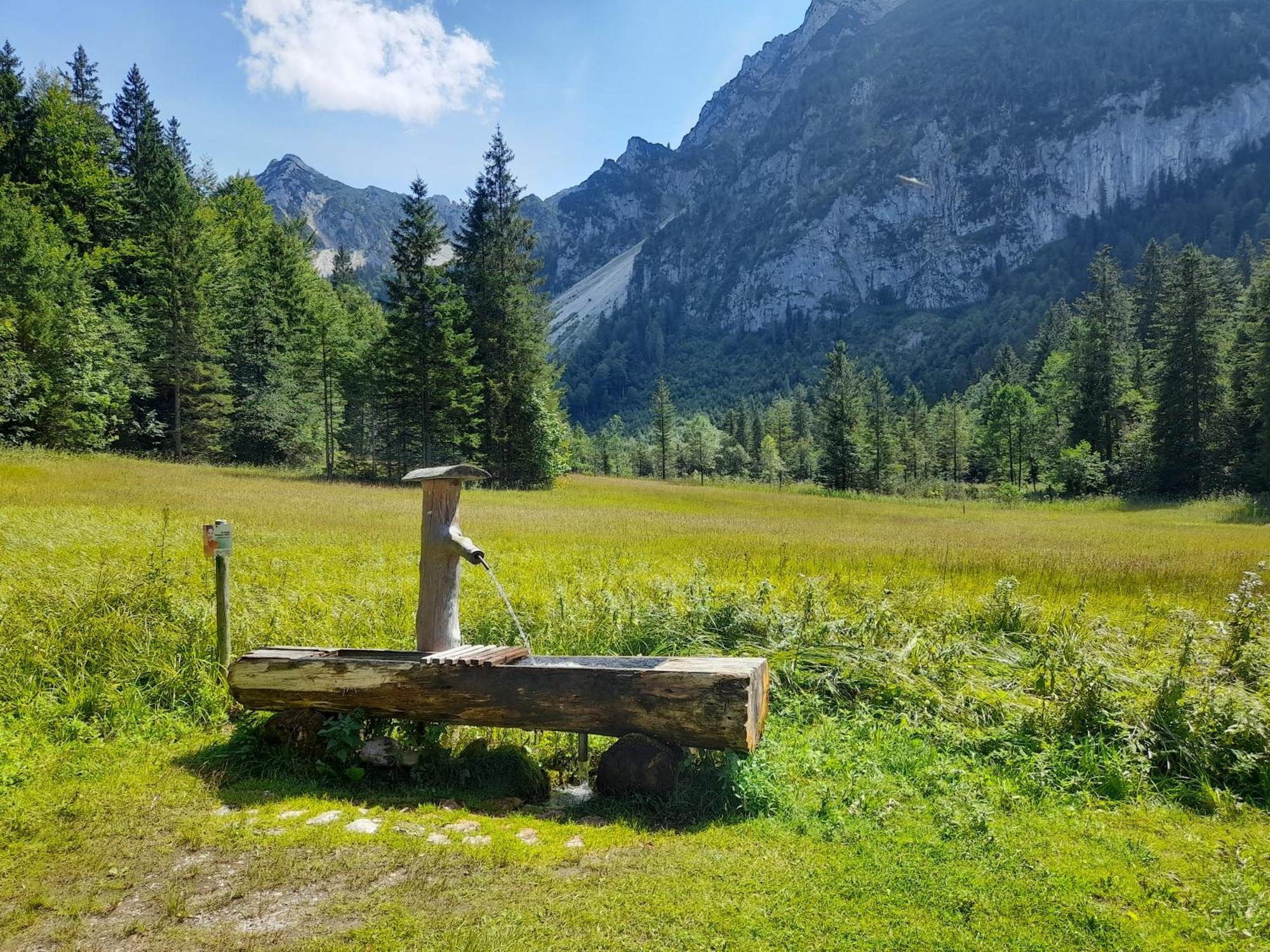 Im Naturgarten Тайзендорф Экстерьер фото